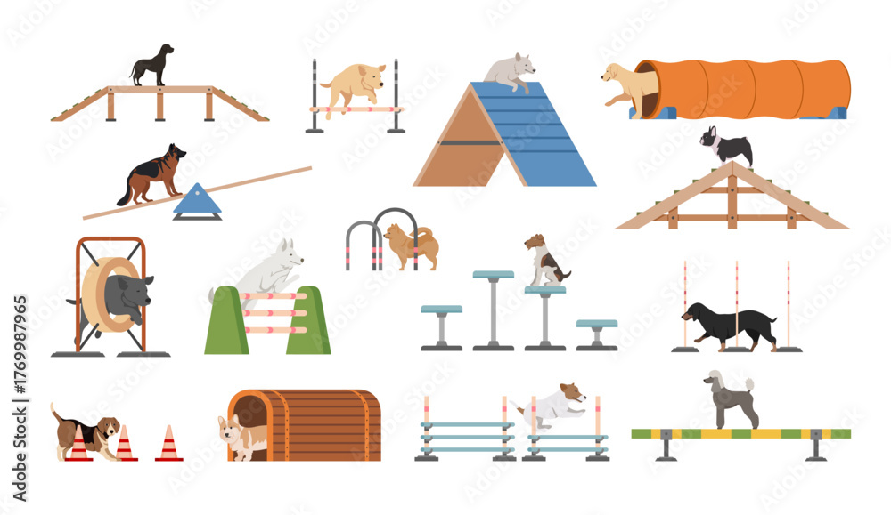 Fototapeta premium A dog playground equipment set featuring ramps, tunnels, and obstacles for dogs to play and exercise. Ideal for training and fun.