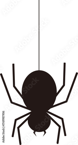 spider