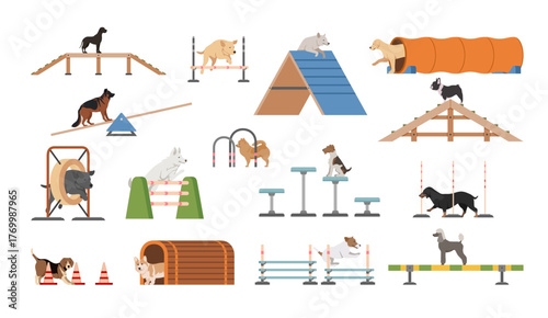 A dog playground equipment set featuring ramps, tunnels, and obstacles for dogs to play and exercise. Ideal for training and fun.