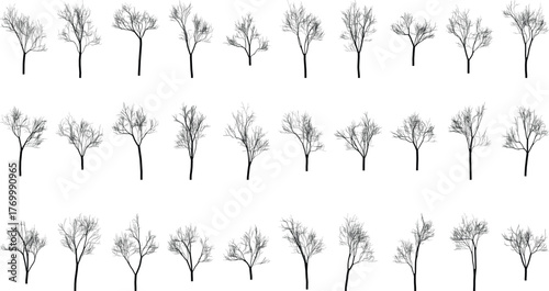 Collection of Silhouette Trees with Leafless Branches on White Background for Winter Mood