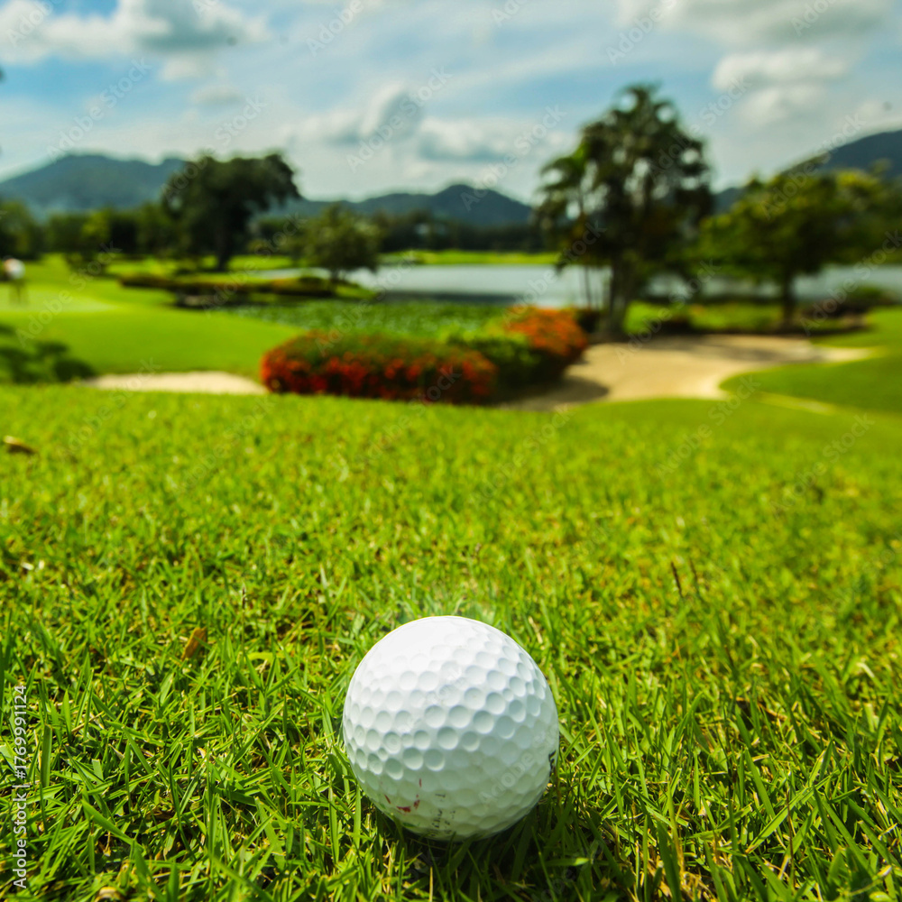 Fototapeta premium golf ball on grass field