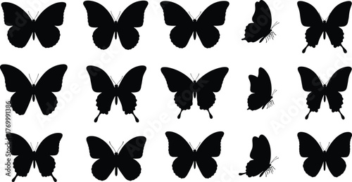 Butterfly silhouette vector, wing shape illustration, insect pose artwork, flying butterfly design, cad drawing flat vector illustration