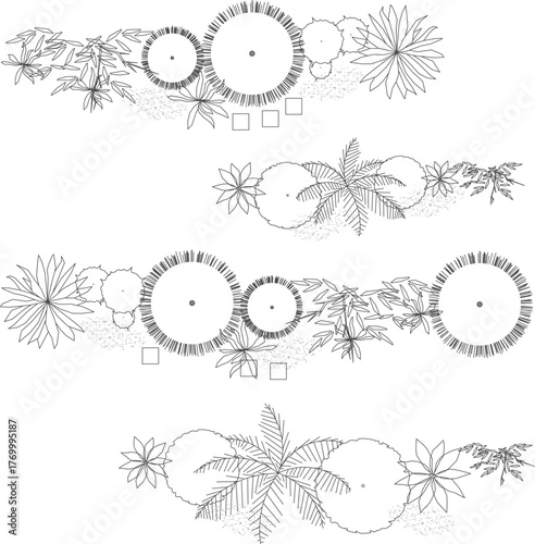 Cad tree top view isolated on white background for landscape plan and architecture layout drawing, elements for environment and garden.