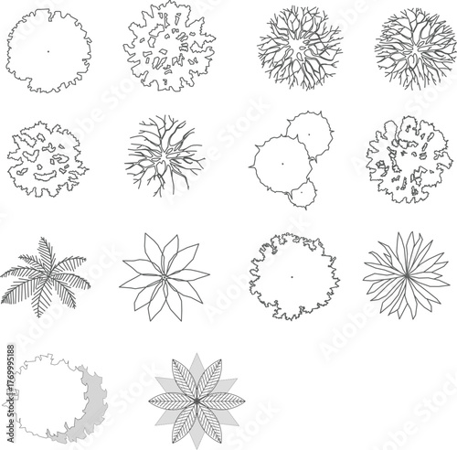 Cad tree top view isolated on white background for landscape plan and architecture layout drawing, elements for environment and garden.