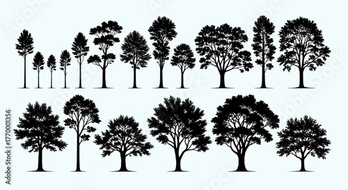 Diverse Tree Silhouettes A Collection of Arboreal Forms. Vector Illustrations. EPS Editable
