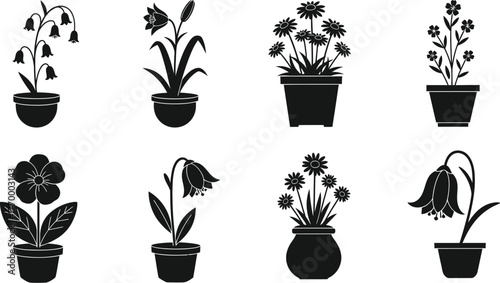 Collection of various potted plants in silhouette, showcasing different floral shapes and growth