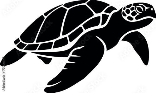 turtle vector illustration