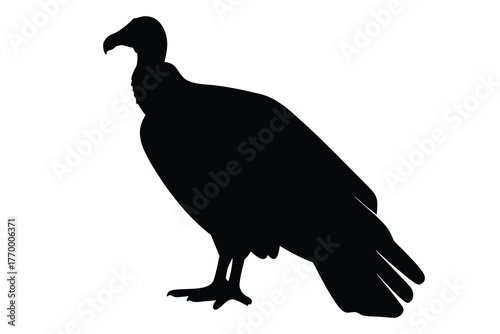 Vulture bird vector silhouette, vulture black silhouette vector