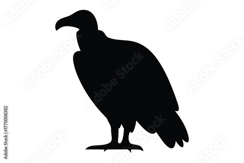 Vulture bird vector silhouette, vulture black silhouette vector