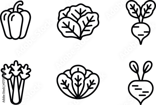 Six hand drawn line art vegetables including bell pepper lettuce radishes and celery vector