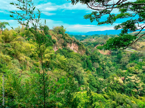 Paisaje de naturaleza tropical andina, Colombia.