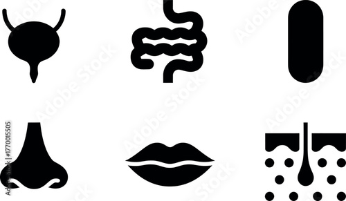 Set of six medical icons representing body organs and systems for healthcare design vector