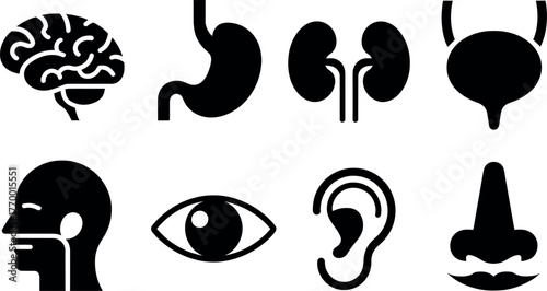 Collection of medical organ icons featuring brain stomach kidneys bladder eye ear nose and head vector