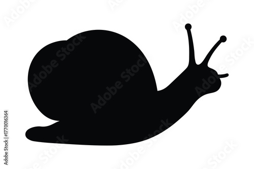 Snail silhouette, snail sea shell silhouette vector illustration