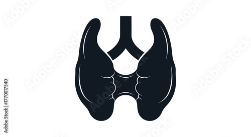 Black silhouette of the human thyroid gland and trachea isolated on a white background medical illustration silhouette