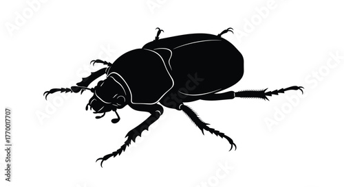 A stark black silhouette of a beetle with intricate leg and body outlines, presented on a clean white background, capturing its insect form.