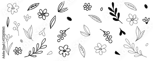 Floral element vector illustration handmade leaves collection. Hand-drawn floral doodle elements with leaves, flowers, and branches vector design