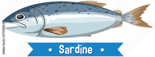 Detailed Vector Illustration of a Sardine Fish