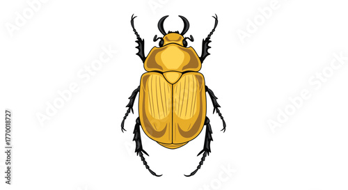 Vibrant golden beetle illustration, seen from above, featuring its distinctive horns, segmented body, and black legs against a simple white background.