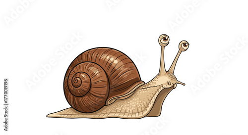 A detailed illustration of a common garden snail with a brown spiral shell and expressive eyes on elongated stalks, against a white background.
