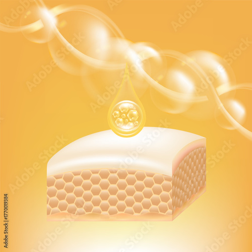 Hyaluronic acid and Niacinamide hair and skin solutions ad, gold collagen serum drops into skin cell with cosmetic advertising background ready to use, illustration vector.	