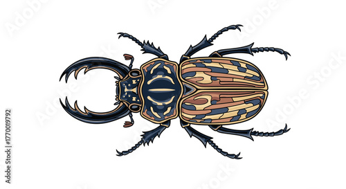 An illustration of a vibrant stag beetle with intricate patterns on its body and prominent mandibles, viewed from above on a white background.