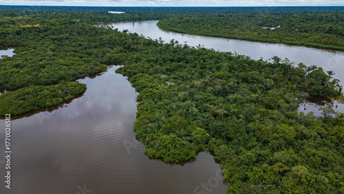 Drone image of the Nanay River in the Amazon rainforest of Iquitos, Peru  a blackwater (igapó) river surrounded by lush rainforest full of biodiversity.