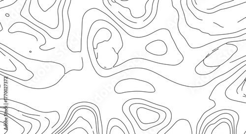 Topographic Map Lines Showing Elevation Contour Lines for Cartography and Geography Studies White Background