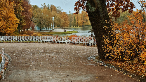 View of the city park in autumn