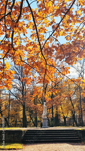 View of the city park in autumn