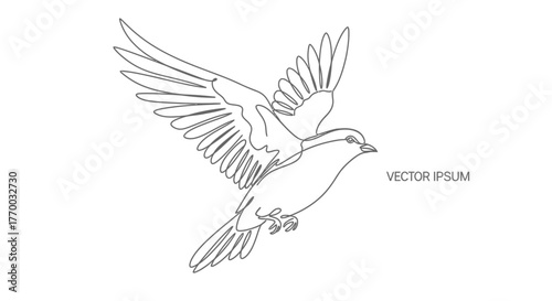 Elegant one line drawing of a flying bird conveying freedom and grace in nature vector