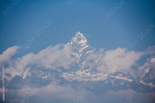 snow covered mountains