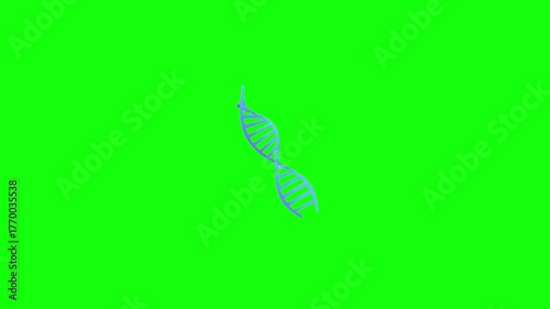 Rotating 3D DNA animation highlighting its twisting structure and molecular form. A 3D DNA double helix slowly rotates on a green screen, ideal for science and biology visuals.