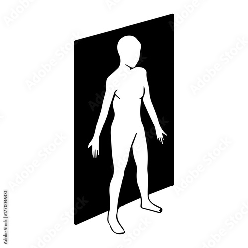 Coronal Plane Anatomy