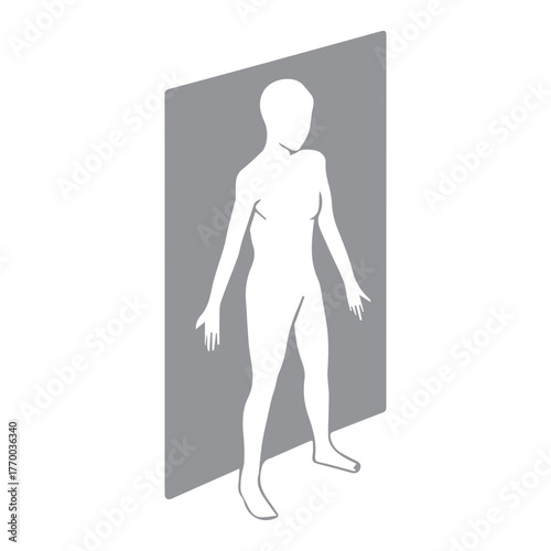 Anatomical Sagittal Plane