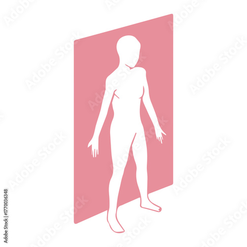 Anatomy Sagittal Plane