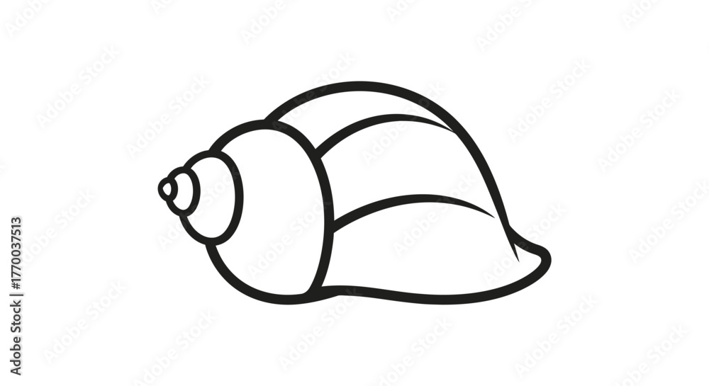 Fototapeta premium A simple black and white line drawing of a seashell.