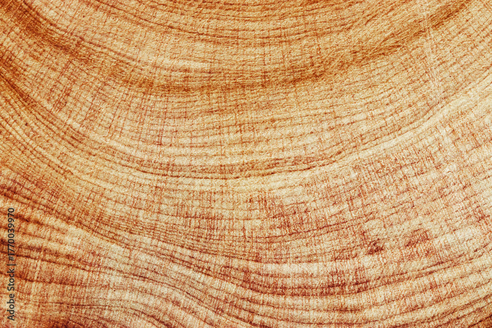 Naklejka premium Macro photo of wood timber of juniper tree rings, natural geometric pattern, abstract nature background. Natural wooden organic textures, monochrome brown beige gradient color, earthy tones, above