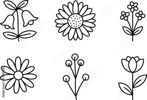 Six diverse hand drawn line art flowers and plants with delicate petals and stems vector