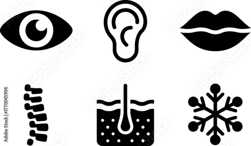 Set of six black and white icons representing human senses and body parts for medical and scientific use vector