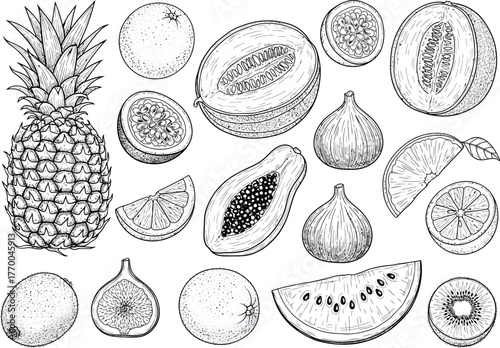 Collection of hand drawn tropical fruits including pineapple papaya watermelon and figs in black and white sketch style