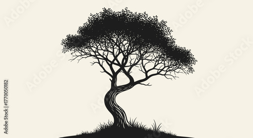 Beautiful silhouette of an old tree with textured trunk and lush foliage on a light background