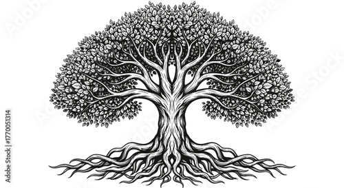 Detailed monochrome illustration of a grand tree, depicting its extensive roots and lush foliage