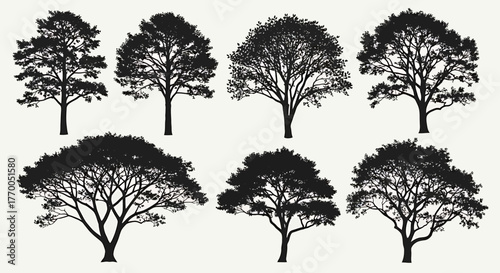 Diverse Collection of Detailed Tree Silhouettes for Nature-Inspired Graphic Design and Landscape