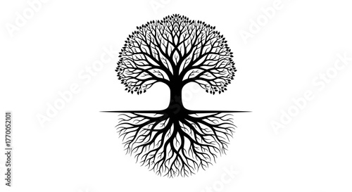 Elegant Tree of Life Illustration with Intricate Roots and Canopy Design Symbolizing Growth