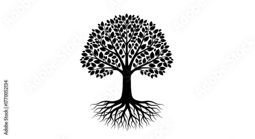 Elegant Vector Silhouette of a Mature Tree with Intricate Roots and Full Canopy Design Element