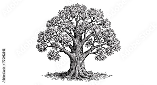 Magnificent Hand-Drawn Oak Tree Illustration with Detailed Leaves and Strong Trunk Roots