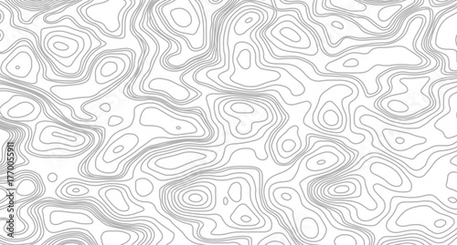 Topographic map Patterns, Topographic map and place for texture. Abstract topographic contours map background.