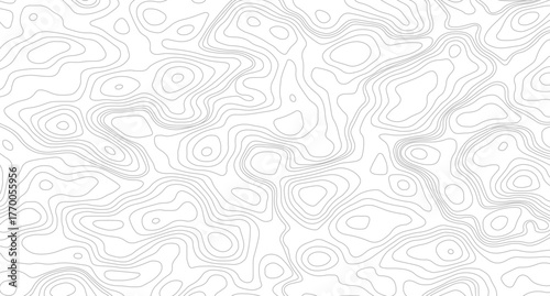 Abstract topographic contours map background. Topography lines and circles background. Topographic map Patterns.