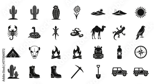 Vector collection of desert theme glyphs with wildlife, survival gear, and landscape elements for adventure concepts